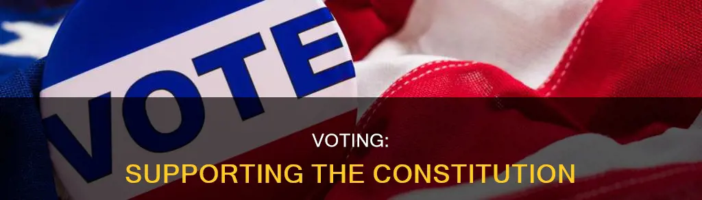 how do we support the constitution when we vote