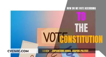 Voting Rights: The Constitution's Guide to Elections