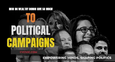 Wealthy Donors: Political Campaign Contributions Explained