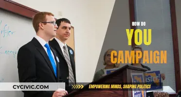 Campaigning Strategies: Effective Methods for Success