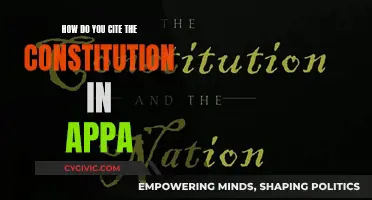 Citing the Constitution in APPA: A Quick Guide