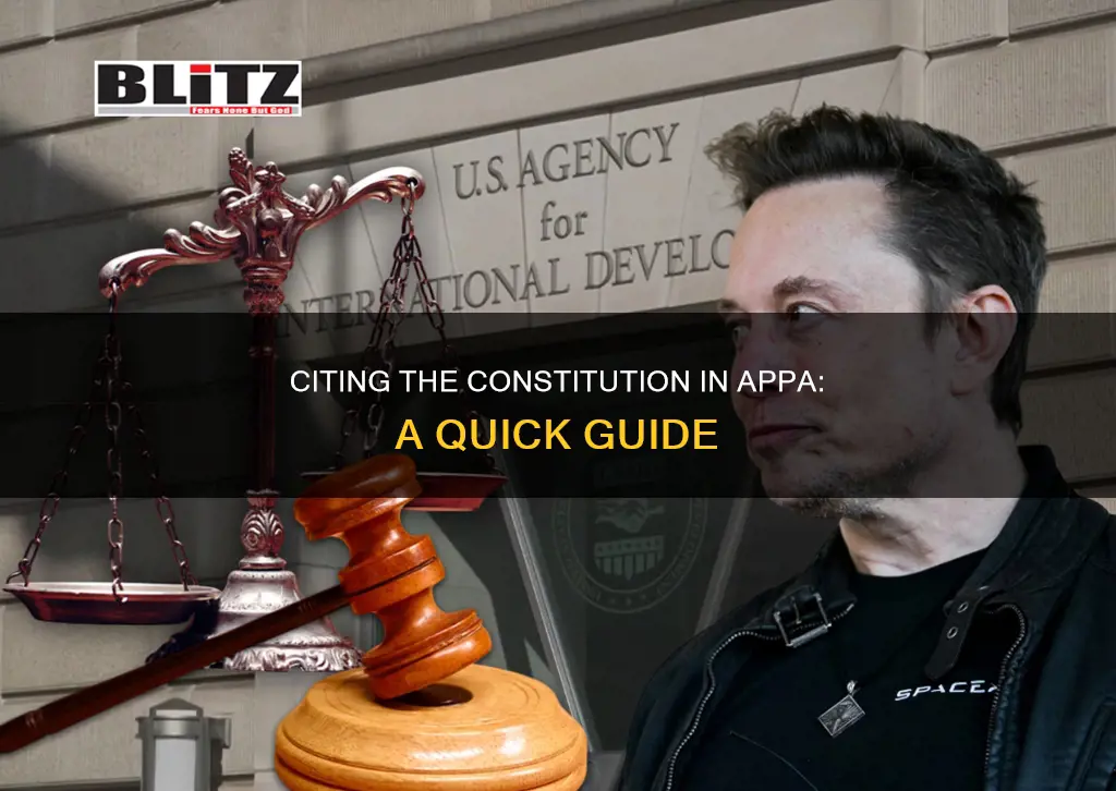 how do you cite the constitution in appa