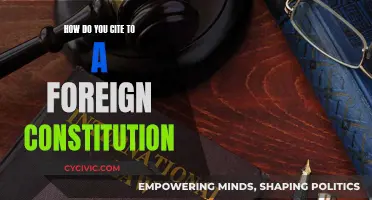 Citing Foreign Law: Constitution Edition