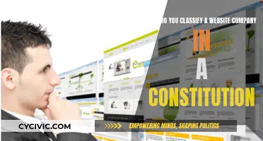 Classifying Website Companies: Constitutional Considerations