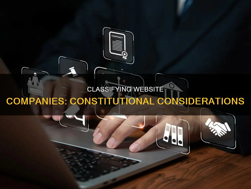 how do you classify a website company in a constitution