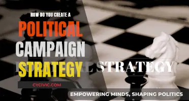 Crafting a Political Campaign: Strategies for Success
