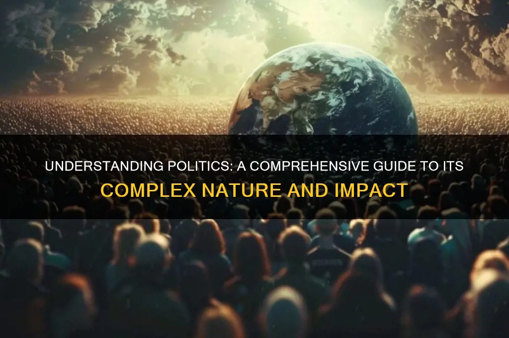 how do you describe politics