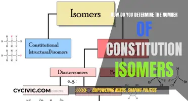 Exploring the Intricacies of Constitutional Isomer Enumeration