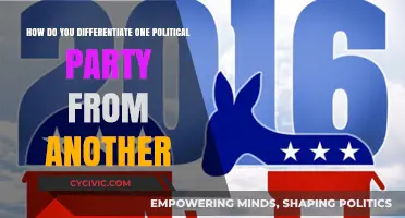 Decoding Political Parties: Key Differences in Policies, Values, and Goals