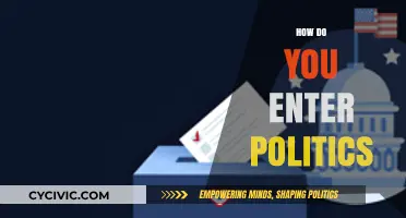 Navigating the Political Arena: A Beginner's Guide to Entering Politics