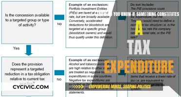 Understanding Tax Expenditures: What Qualifies?