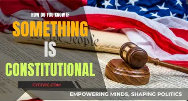 Understanding Constitutionality: Decoding the Law's Complexities
