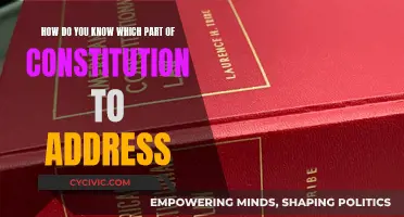 Understanding the Constitution: Addressing Its Parts