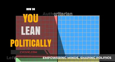 Exploring Political Leanings: Understanding Your Ideological Compass and Values