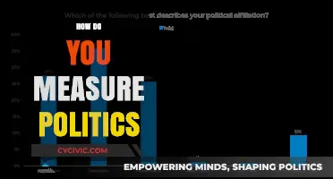 Measuring Political Landscapes: Tools, Metrics, and Real-World Applications