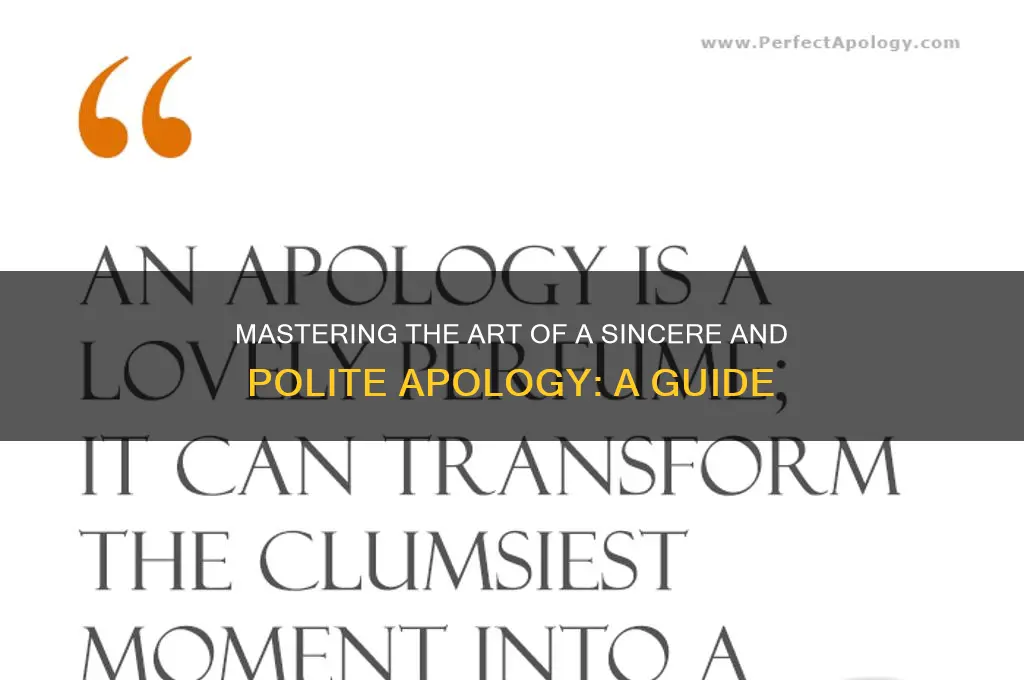 how do you politely apologize