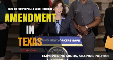 Proposing Amendments: Texas Constitution