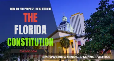 Proposing Florida Laws: A Constitutional Guide