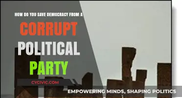 Saving Democracy: Strategies to Counter Corrupt Political Parties