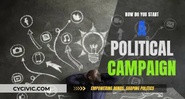 Launching a Political Campaign: Strategies for Success