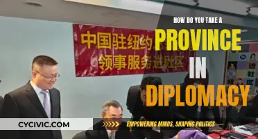 Conquering Provinces in Diplomacy: Strategies for Success