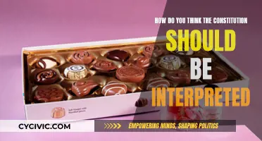 Interpreting the Constitution: A Modern Lens