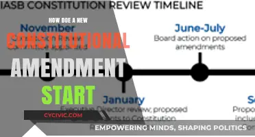 The Process of Amending the US Constitution