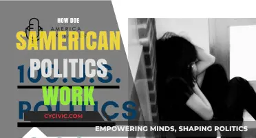 Understanding the Complexities of American Politics: A Comprehensive Guide