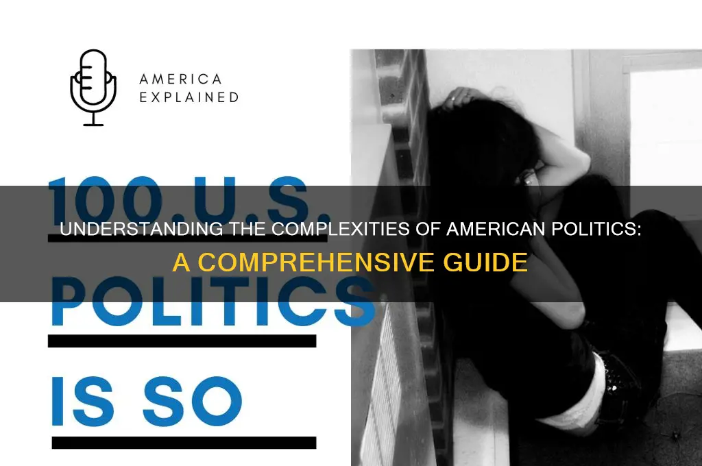 how doe samerican politics work