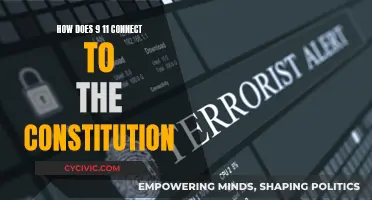 Terrorism, Security, and the Constitution: 9/11's Impact