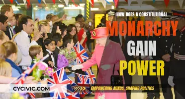 Constitutional Monarchy: Power Dynamics and Influence Explored