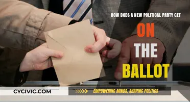 Navigating Ballot Access: Steps for New Political Parties to Compete
