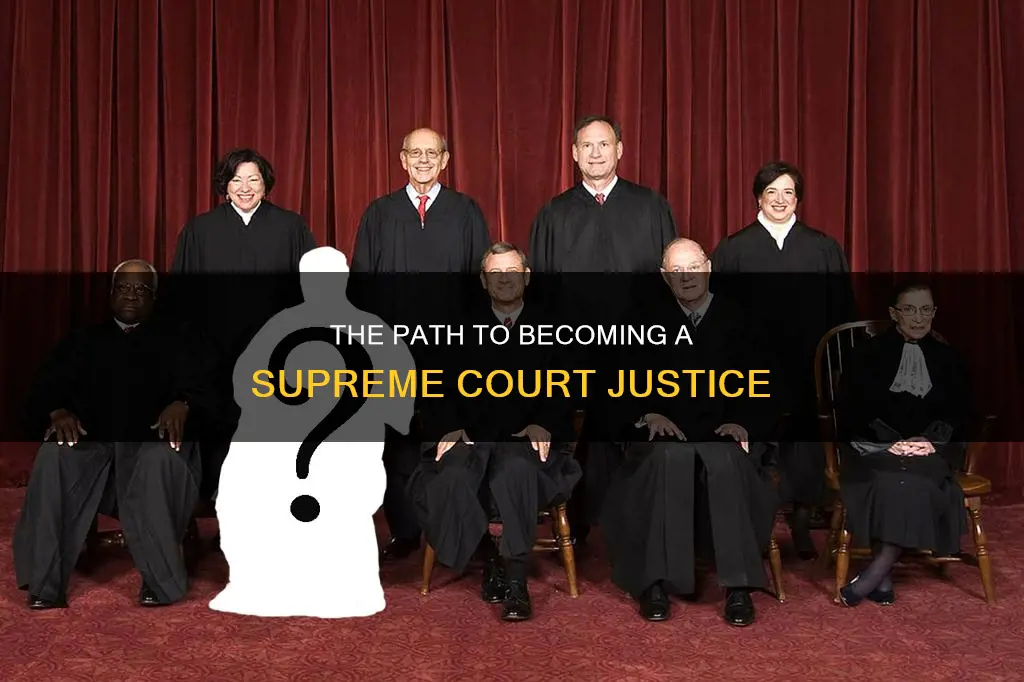 how does a person become a supreme court justice constitution