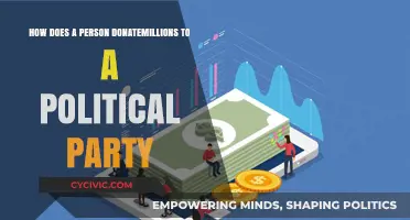 How Individuals Legally Donate Millions to Political Parties