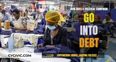 Political Campaigns: Debt, Donors, and Dollars