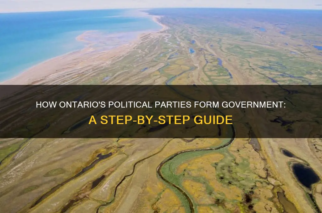 how does a political party form government in ontario