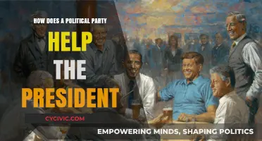 How Political Parties Empower Presidents: Strategies and Support Systems