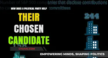 How Political Parties Strategically Support and Empower Their Chosen Candidates
