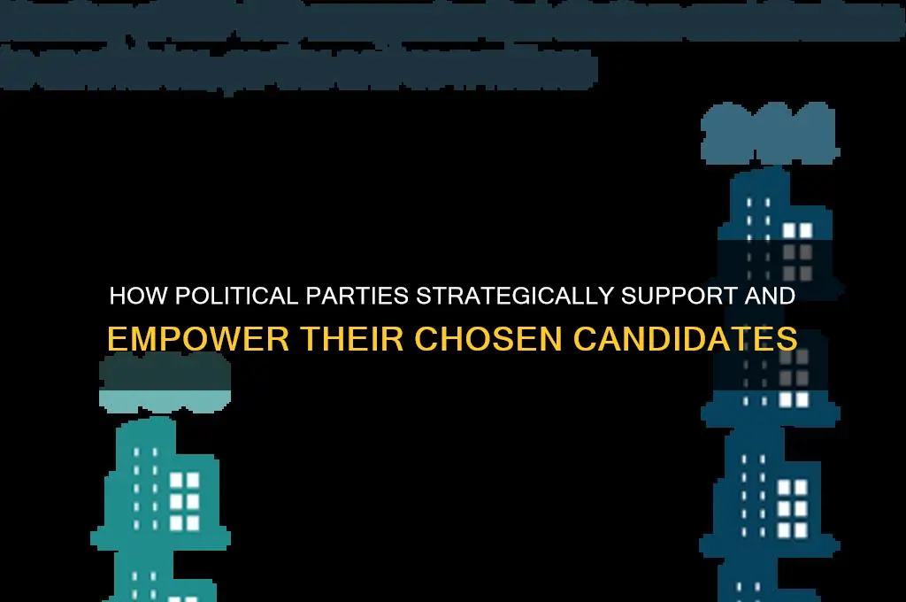 how does a political party help their chosen candidate