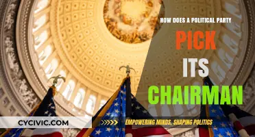 How Political Parties Select Their Chairman: A Comprehensive Guide