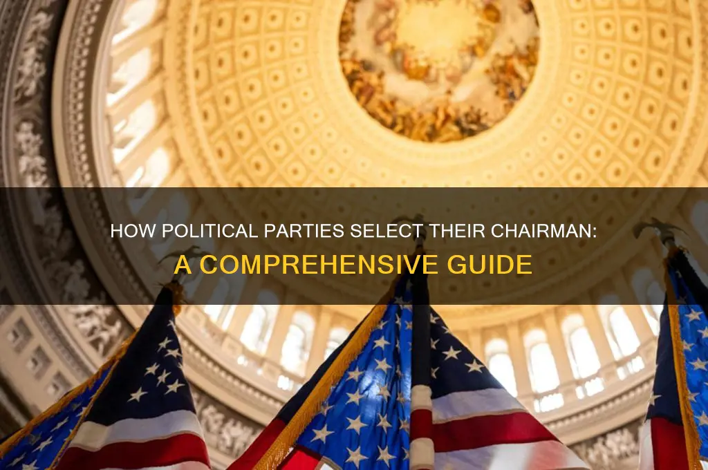how does a political party pick its chairman