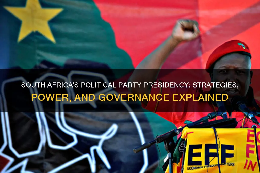 how does a political party run presidency in south africa