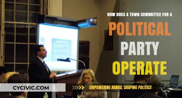 Understanding the Inner Workings of a Town Political Party Committee