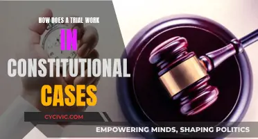 Understanding Constitutional Trials: A Step-by-Step Guide