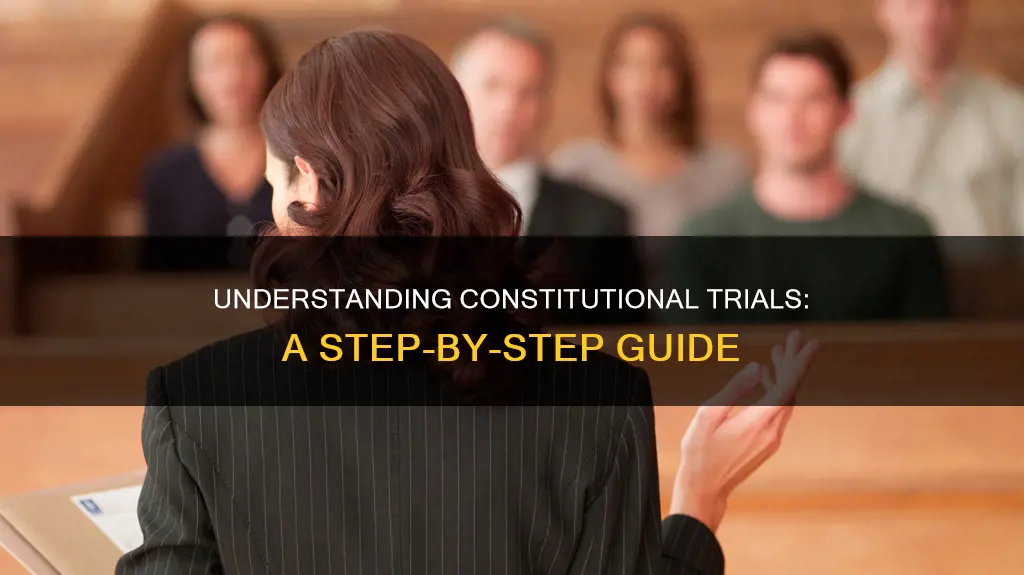 how does a trial work in constitutional cases