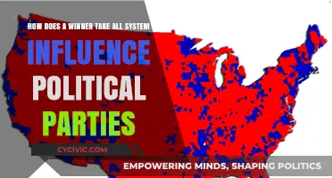 Winner-Take-All Politics: Shaping Party Strategies and Electoral Outcomes