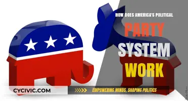 Understanding America's Political Party System: Structure, Function, and Impact