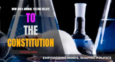 Animal Testing: Ethical and Constitutional Debate