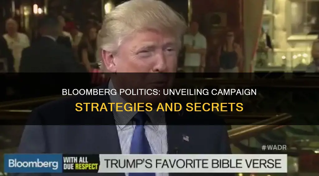 how does bloomberg politics adress campaign news