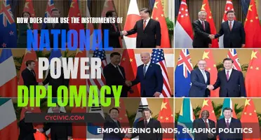 China's Diplomacy: Strategies and National Power Instruments